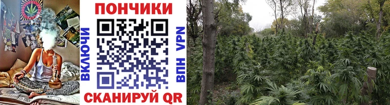 наркота  ссылка на мегу ONION  Каннабис Amnesia  Луза 